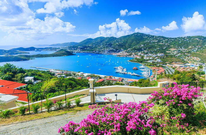 US Virgin Islands – IMANA COVID Response